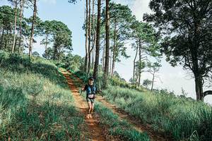 BIB: 
                            <button type="button" onclick="openModal(25676917)" class="btn btn-primary btn-sm float-right btn-popup" data-toggle="modal" data-target=".modal-high-quality">
                        <i class="fas fa-shopping-cart"></i> Add to Cart
                    </button>
                                            <button type="button" onclick="isThisMe(25676917, true)" class="btn btn-success btn-sm float-right btn-popup btn-isme hidden" data-toggle="tooltip" data-placement="bottom" title="นี่คือรูปของคุณใช่ไหม คลิกที่นี่เพื่อเอาเข้าอัลบั้ม">
                        <i class="fas fa-plus"></i> Add to album
                    </button>
                    <button type="button" onclick="isThisMe(25676917, false)" class="btn btn-warning btn-sm float-right btn-popup btn-isnotme hidden">
                        <i class="fas fa-ban"></i> Remove from album
                    </button>